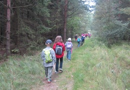 IMG 5061