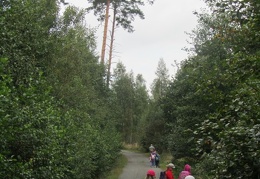 IMG 5062