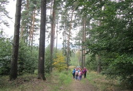 IMG 5094