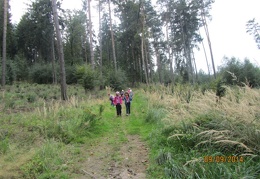 IMG 5095
