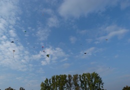 P1100654
