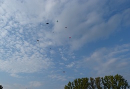 P1100664