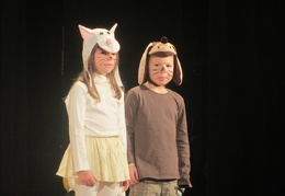 IMG 4166