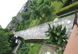 IMG 4775