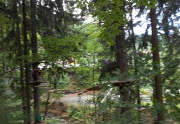 DSCN0610