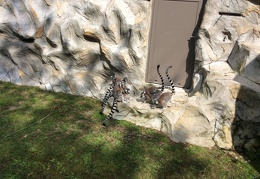 IMG 0715