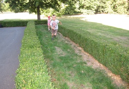 IMG 6425
