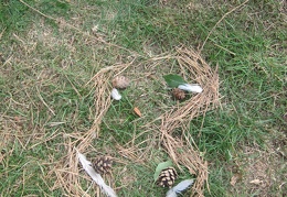 IMG 6465