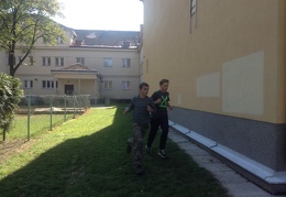 IMG 0135