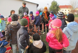 IMG 4858