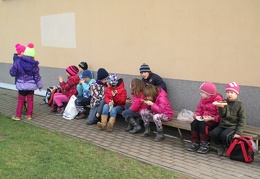 IMG 4872