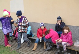 IMG 4873