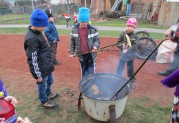 IMG 4876