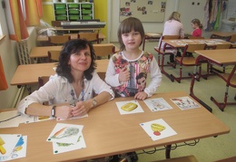 IMG 4061