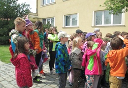 IMG 5338