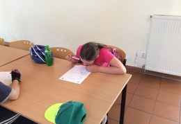 IMG 0835