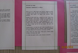 IMG 7425
