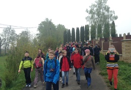 IMG 00801