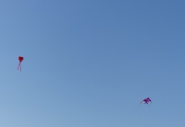 P1080519