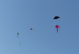 P1080539
