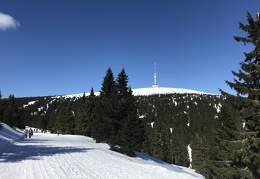 IMG 4830
