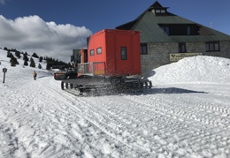 IMG 4833