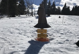 IMG 4834