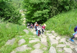 DSC00878