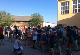 IMG 0877