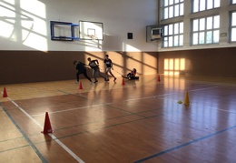 IMG 3528