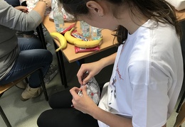 IMG 2752