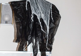 IMG 5052