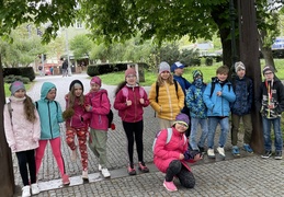 IMG 2353