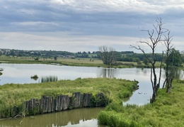 3E960C96-6760-4B5E-80D9-D7431366F61E