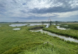 FDCDCD9A-4CED-4B7E-8E5D-FCD7F432157D