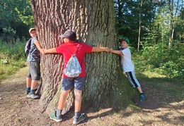 IMG 20240904 092640266 HDR