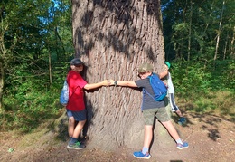 IMG 20240904 092734212 HDR