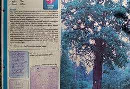 IMG 20240904 092803672