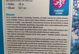 IMG 20240904 092814989