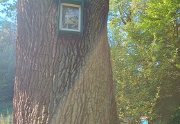 IMG 20240904 093051049 HDR