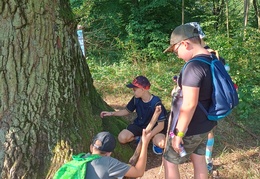 IMG 20240904 093057201 HDR