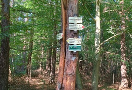 IMG 20240904 103959191 HDR