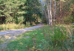 IMG 20240904 110034682 HDR (2)