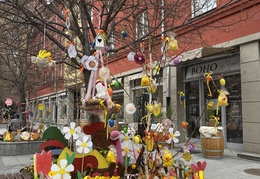 Opavský skřivánek 2026